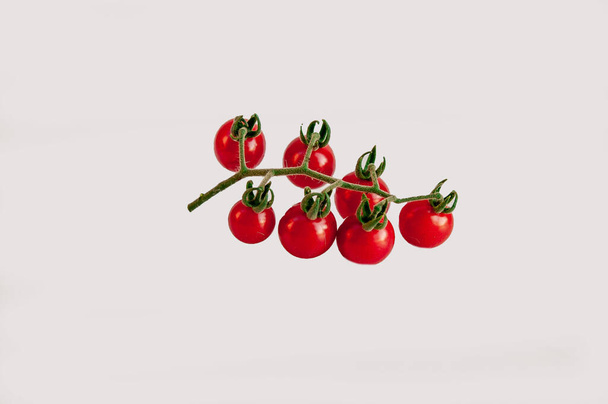 A branch of cherry tomatoes isolated on white background - Φωτογραφία, εικόνα