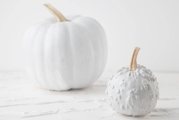 A couple of white pumpkins on a white background - Foto, Imagem