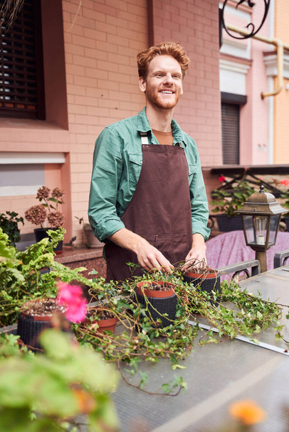 Barista taking care about plants outdoors - 写真・画像