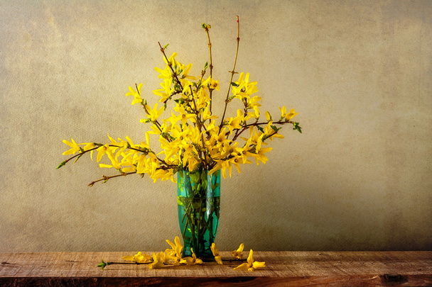 Still life bouquet forsythia - Photo, Image