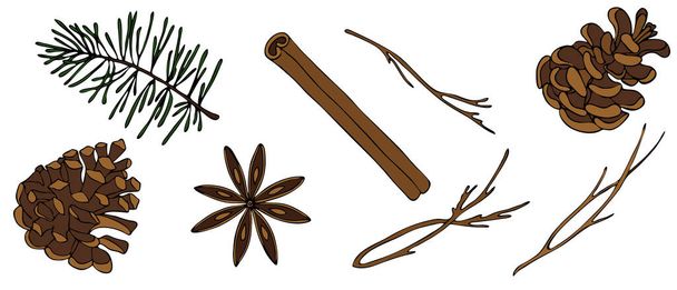 skořice, borovicový kužel, hvězdicový anýz, větvička, strom, vektorová sada prvků ve stylu doodle, dekorativní prvky - Vektor, obrázek