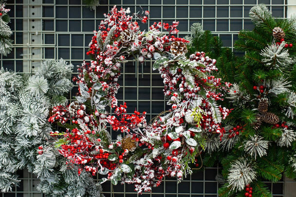 Christmas decoration background for design. A wreath of holly branches with berries in hoarfrost. Round frozen wreath on the door, red holly oak berry and branches of a christmas tree - Photo, Image