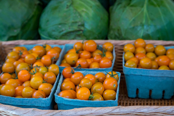 A display of punnets of tomatoes on a market stall, with a shallow depth of field - Foto, Imagem