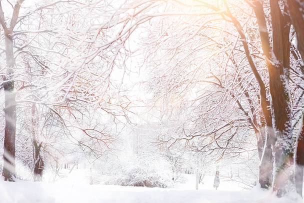 Paisaje invernal. Bosque bajo la nieve. Parque de invierno. - Foto, Imagen