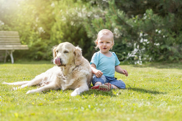 Cool iitle baby boy is looking at the camera posing with lying Golden Retriever dog on the grass outside. - Foto, Imagen