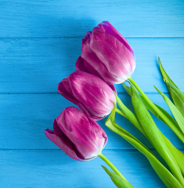 Tres tulipanes morados sobre una mesa azul. - Foto, Imagen