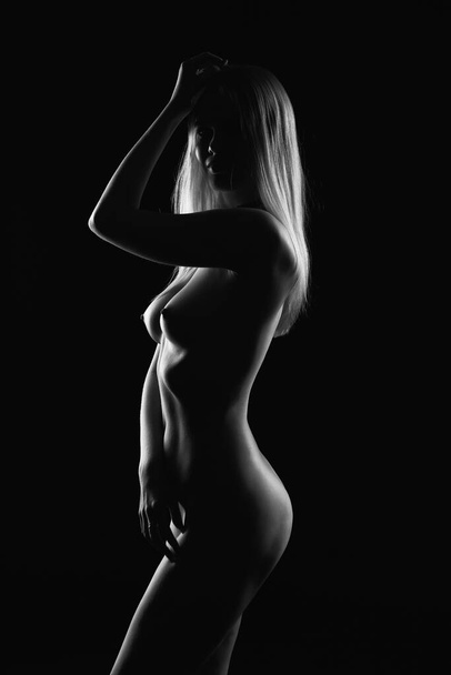Silhouette of a sexy Nude female body in the background light on a dark background - Valokuva, kuva