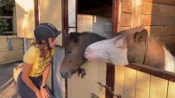 Jonge paardenvrouw staat in de buurt van de stal en kust een hoofd van pony. - Video