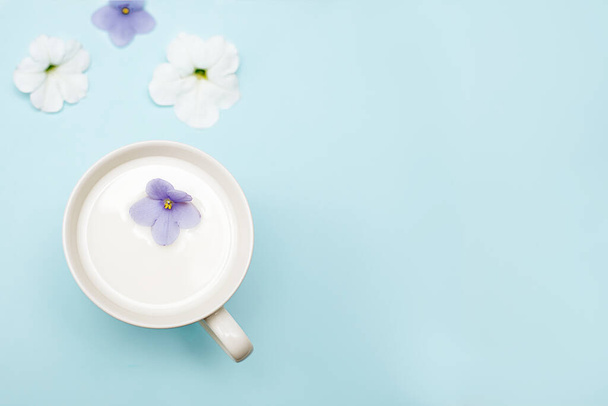 Violets in milk water. Beauty and Wellness treatments with flower petals in a milk bath. Summer concept of freshness, purity, tenderness, youth. Copy space, delicate blue background. Close up photo - Photo, Image