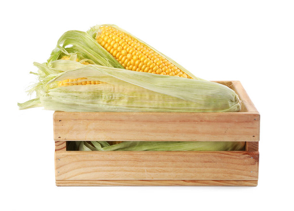 Ripe raw corn cobs in wooden crate on white background - Фото, изображение