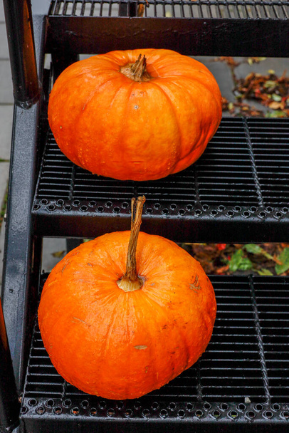 Stockholm, Sweden Halloween Pumpkins on a stoop - Фото, изображение