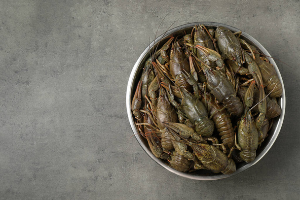 Fresh raw crayfishes on grey table, top view. Space for text - Foto, Bild