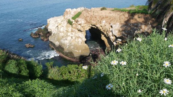 ラホヤ入り江の海の洞窟の上から。緑豊かな葉と砂岩の洞窟。太平洋のラグーン、急な崖の近くの波の岩。米国カリフォルニア州サンディエゴの人気の観光地、自然アーチ. - 写真・画像