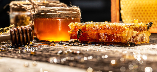 Makro fotka včelího úlu na plástve medu. Včely produkují čerstvé, zdravé, zlato. Medové pozadí. Koncept včelařství. Dlouhý formát nápisu. - Fotografie, Obrázek
