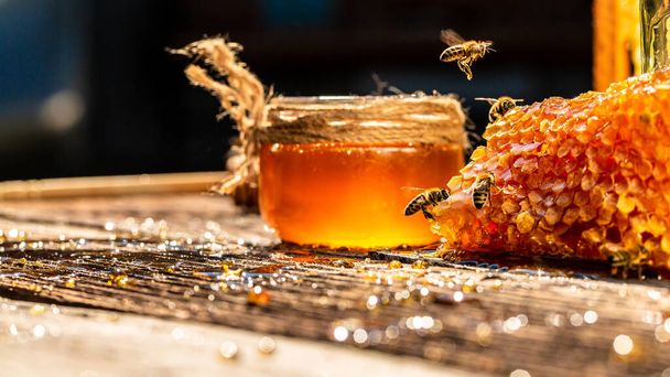 Macro photo d'une ruche sur un nid d'abeille. Les abeilles produisent du miel frais et sain. Fond de miel. Concept apicole. Format de bannière longue. - Photo, image