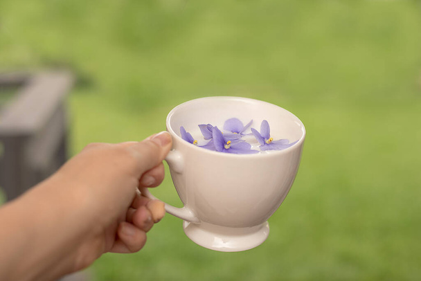 Una mano de mujer sostiene una taza de leche y violetas sobre un fondo de hierba verde en su jardín. El concepto de unidad con la naturaleza. Primer plano foto - Foto, Imagen