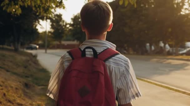 Alumno con una mochila caminando por la acera, vista trasera - Metraje, vídeo