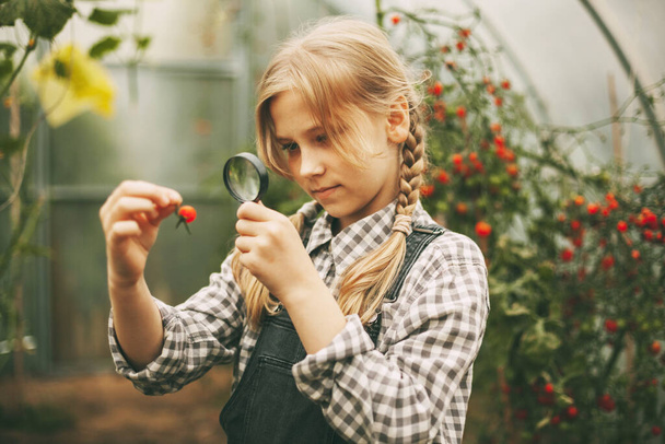 Una hermosa niña está parada en un invernadero con una cosecha, sostiene una lupa en sus manos y sonríe suavemente, - Foto, Imagen