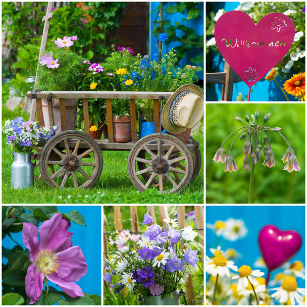 庭から異なる花の写真とコラージュ - 写真・画像