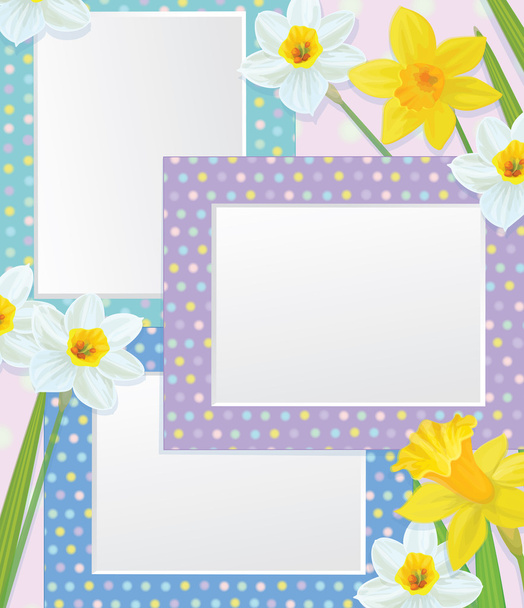 Vector empty photo frames with daffodils. - Vector, Image