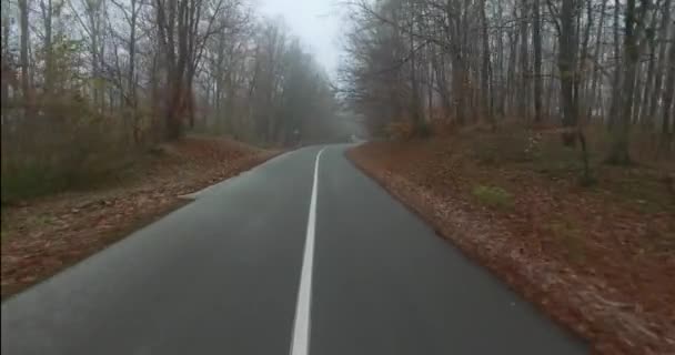 Jízda po klikaté silnici na podzim nebo v zimě obklopená venkovskou přírodní krajinou. - Záběry, video