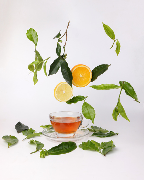 diferentes tipos de brote de flor de hoja de té verde crudo fresco que cae flotante rodaja de naranja limón elevada sobre un platillo de té de vidrio transparente té líquido sobre fondo blanco - Foto, Imagen