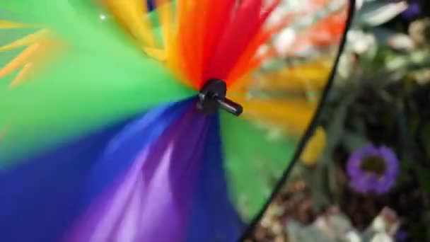 Renkli fırıldak döndürme, rüzgar gülü, ABD 'de bahçe dekorasyonu. Çocukluğun gökkuşağı sembolü, fantezi ve hayal gücü dönüyor. Çok renkli spiral oyuncaklar esintide dönüyor. Yaz rüyası - Video, Çekim