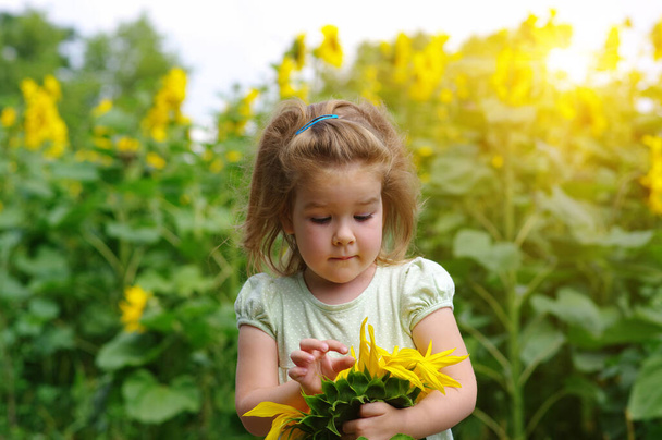 Счастливая маленькая девочка нюхает подсолнух на поле . - Фото, изображение