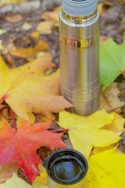 Café caliente rodeado de hojas de otoño. - Foto, imagen