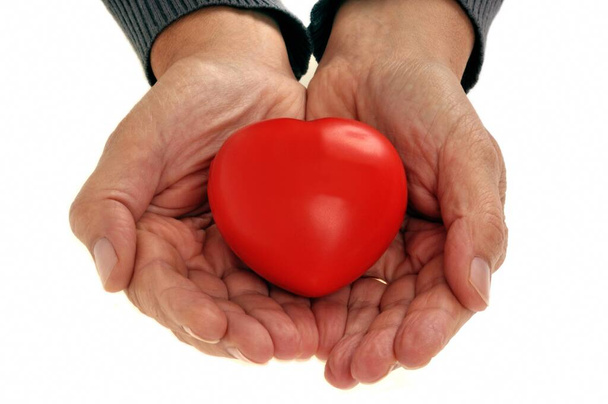 Heart in hands close-up on white background  - Photo, Image