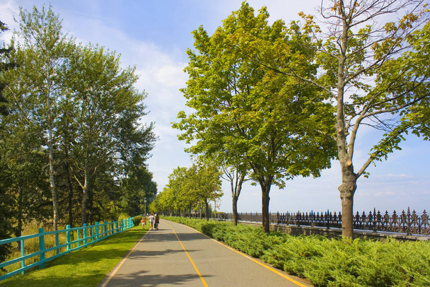 Park of Mezhyhirya in Kyiv region, Ukraine - Photo, image
