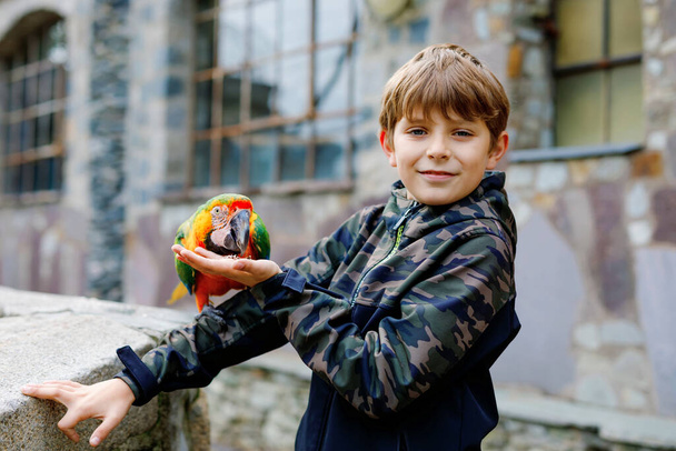 Wunderschöner Schuljunge, der Papageien im zoologischen Garten füttert. Kinder spielen und füttern vertrauensvolle, freundliche Vögel in Zoo und Wildpark. Kinder lernen Wildtiere und Papageien kennen. - Foto, Bild