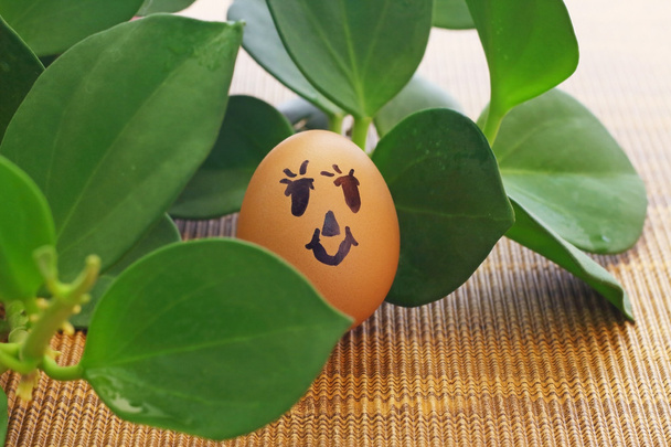 Egg and plant - Photo, Image