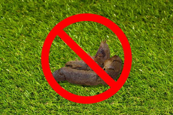 forbidden sign on dog shit on the grass - Foto, Imagen