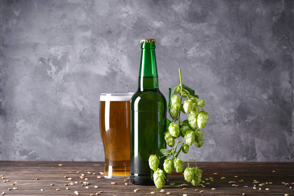 Branche de houblon et bière sur fond gris - Photo, image