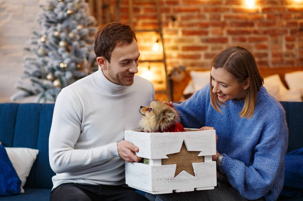 メリークリスマス。自宅で美しいクリスマスツリーの近くに座っているポメラニアン・スピッツの犬と一緒に遊んで幸せな若いカップル。冬の休日、クリスマスのお祝い、新年のコンセプト。一緒に過ごす時間 - 写真・画像