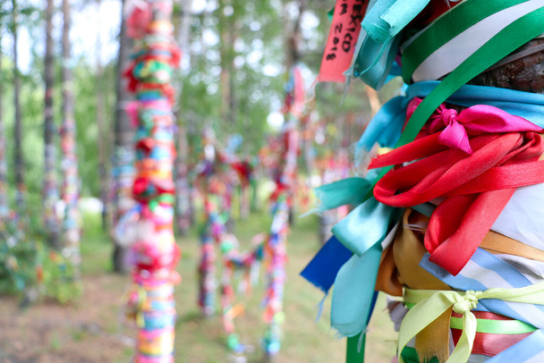 Fitas coloridas de cetim amarradas a cercas de troncos e bétulas por casais para celebrar o amor e o casamento na Rússia - Foto, Imagem