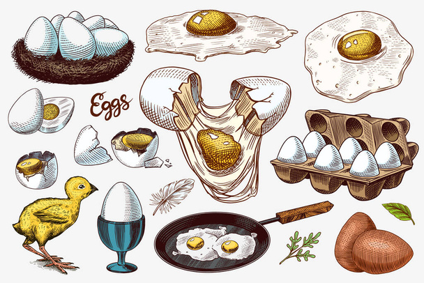 Vejce a kuřata, zemědělské produkty, míchaná omeleta, balení a hnízdo. Rytá ručně kreslená skica. Styl dřevořezu. Vektorová ilustrace pro menu nebo plakát. - Vektor, obrázek