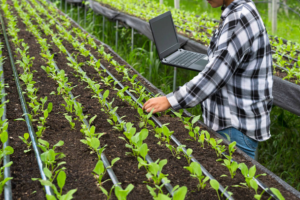 Gewassen beeld van jonge vrouwelijke boer met laptop en werkzaam in moestuin perceel in biologische boerderij - Foto, afbeelding
