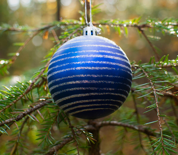 クリスマスツリーの枝を持つクリスマスブルーボールのクローズアップ,ぼやけた木の背景に.クリスマスと新年のコンセプト。コピースペース. - 写真・画像
