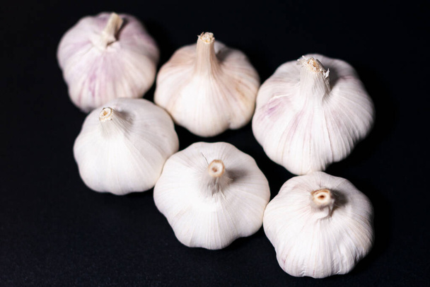 white garlic heads on a dark background. - Foto, Bild