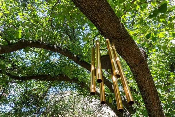 Golden wind chimes hanging from the tree in outdoor public garden - Photo, Image
