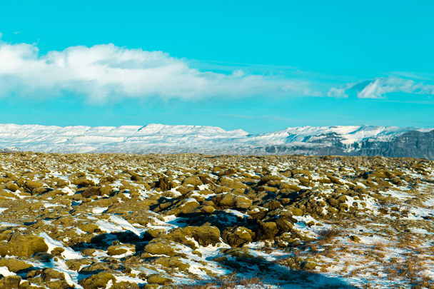 Winter landscape in Iceland. A field of solidified lava covered with moss is covered with snow - Fotoğraf, Görsel