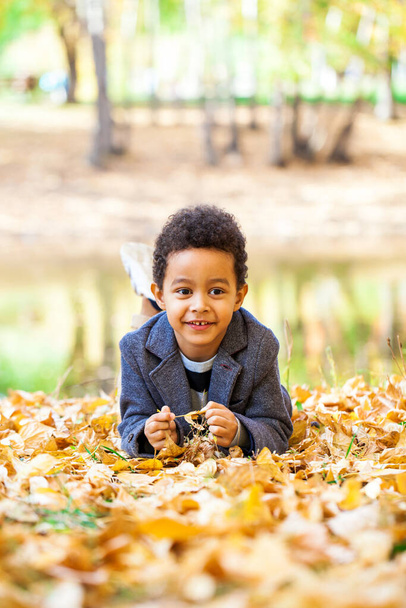 four year old little boy posing in autumn park - Foto, Bild