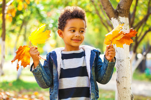 four year old little boy posing in autumn park - Foto, Bild