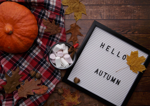 on wooden table pumpkin letter board cocoa with marshmallows and yellow leaves. - Foto, Imagen