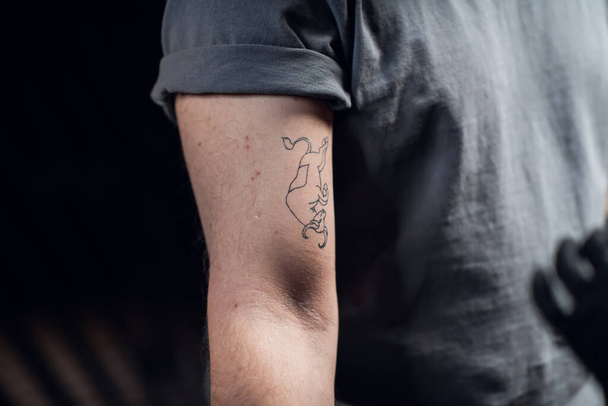 Dibujo de un tatuaje de toro transferido al bíceps de un brazo de hombre en una camiseta gris. Preparación para el proceso de tatuaje. - Foto, Imagen