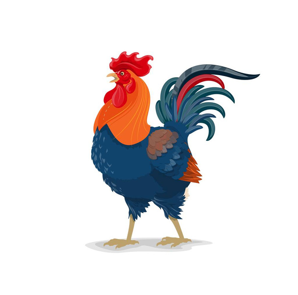 Rooster vector chinese horoscope animal, cartoon cock with bright plumage china zodiac, mascot symbol, lunar new year for 2029, oriental culture and tradition. Poultry farm fowl isolated icon - Vector, Image