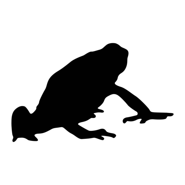 Sapo de dardo venenoso (Dendrobatidae) em pé em uma silhueta vista lateral encontrada no mapa da América Central e do Sul. Bom para usar para o livro de impressão de elemento, livro animal e conteúdo animal - Vetor, Imagem