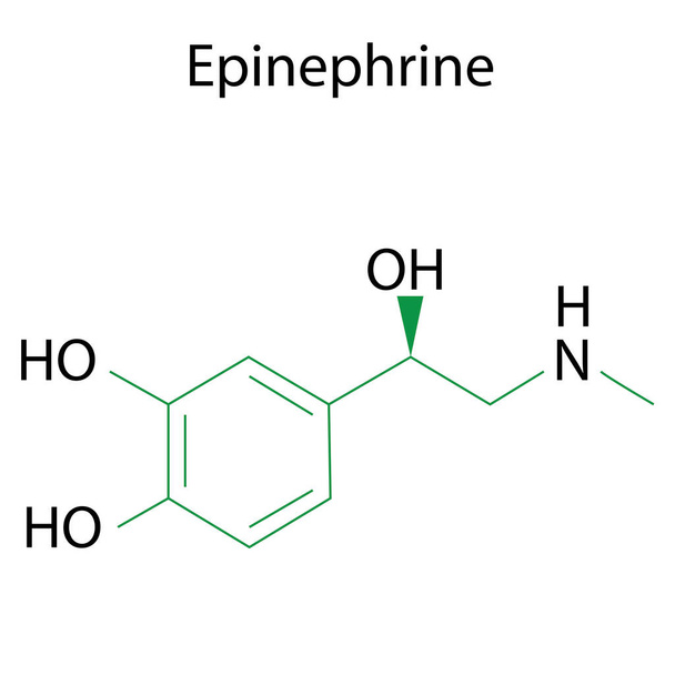 Epinephrine formula. Chemical molecule adrenaline. Molecular structure. Line vector. Stock image. - Вектор, зображення